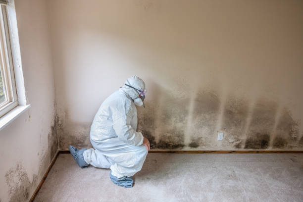 Mold Removal for HVAC Installations in Intercourse, PA